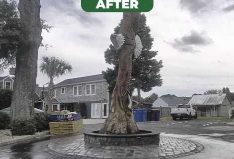 DriveWayAfter2